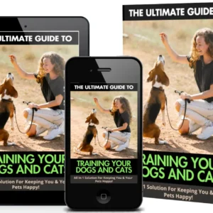 Training Your Dogs And Cats