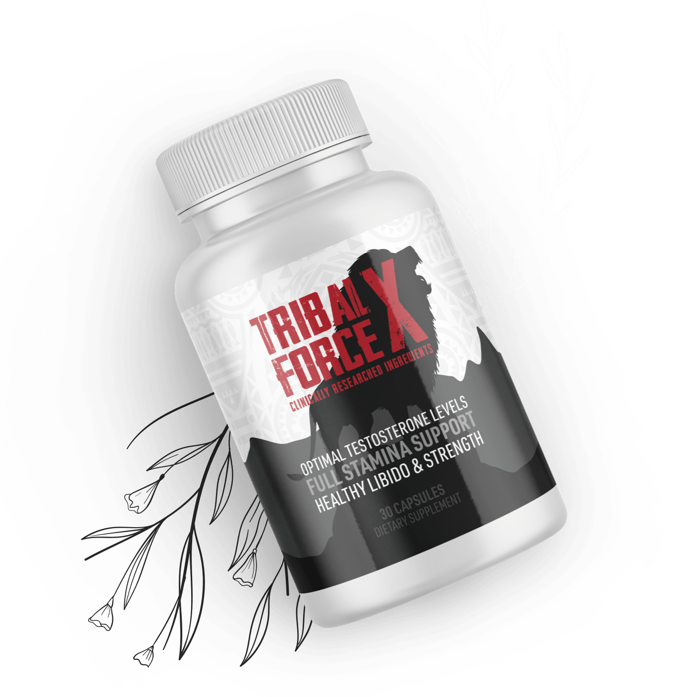 ribalForce X – Natural Male Vitality and Performance Enhancer